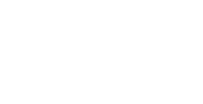 The Life Family Chiropractic website footer logo
