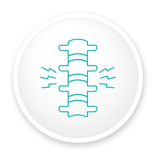 Spine Icon